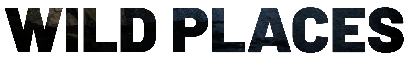 A green background with the letters p and l