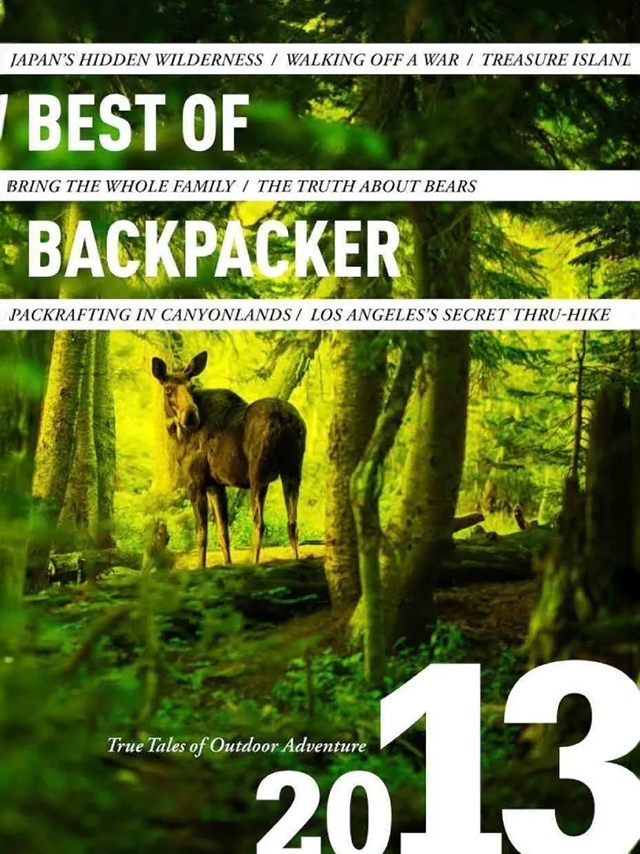 A book cover with a moose in the woods